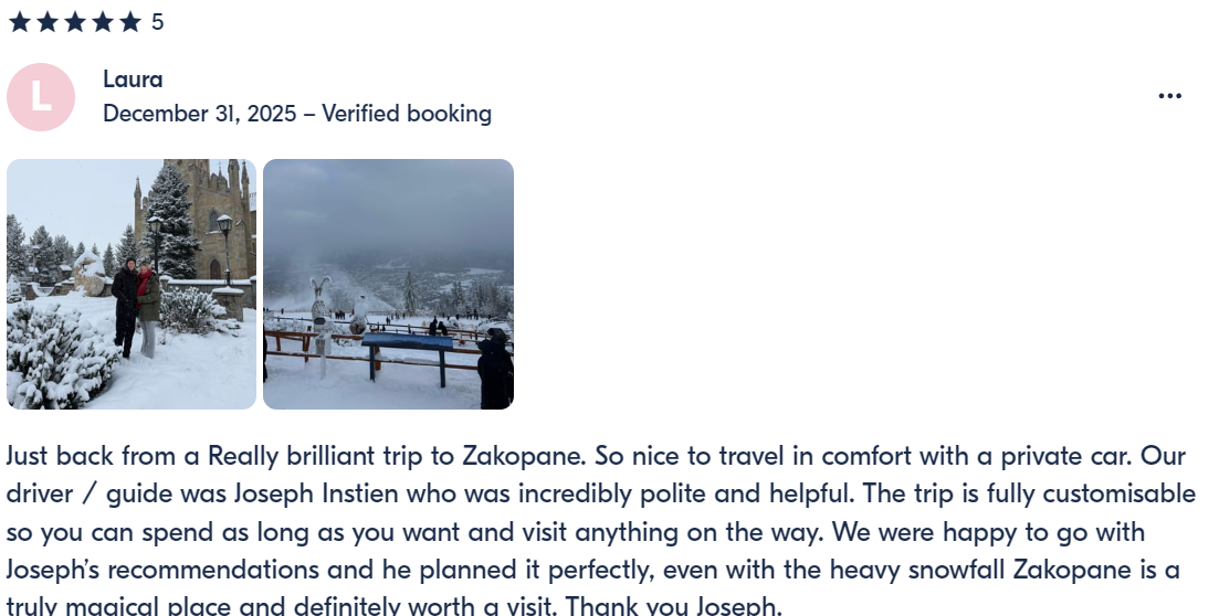 Traveler Review