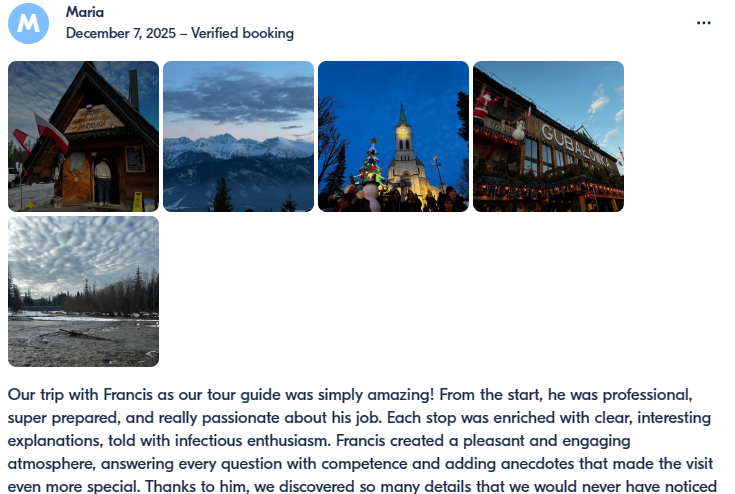Traveler Review