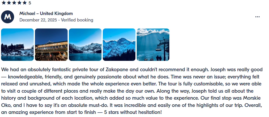 Traveler Review